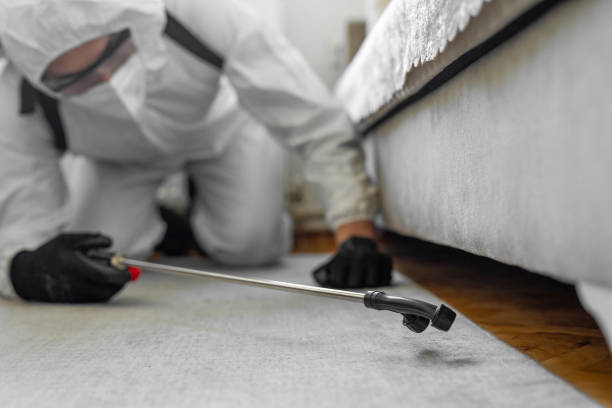 Professional Termite Control technician working in Delphi, IN
