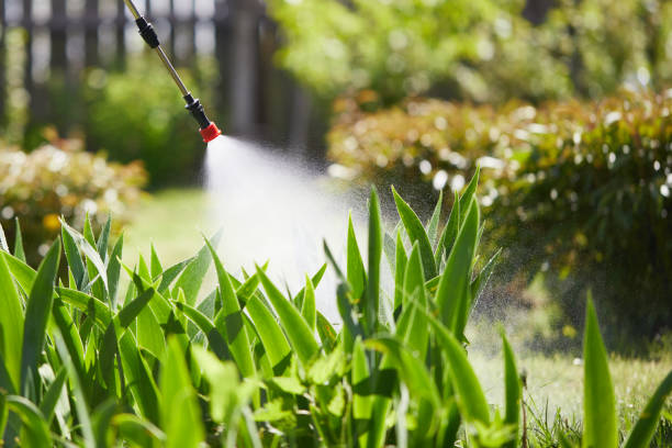 24/7 Emergency Termite Control experts in Delphi, IN