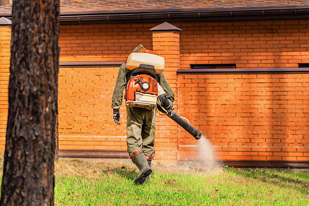 Top rated local Termite Control specialists in Delphi, IN